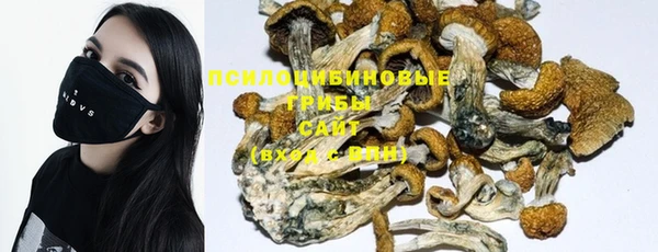дмт Корсаков