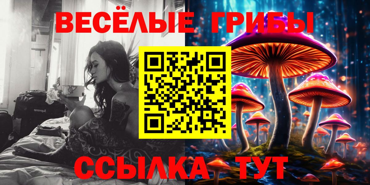 Галлюциногенные грибы Psilocybine cubensis Старый Оскол