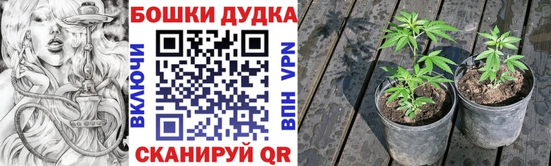 наркотики  Старый Оскол  Каннабис Ganja 
